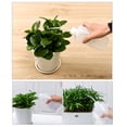 thumbnail image 4 of Ludlz Plastic Safety Squeeze Bottle 500ml Wash Bottle Watering Tool, Lab Tip Liquid Storage Tattoo Diffuser Green Soap Supply Plants Watering Wash Squeeze Bottle, 4 of 7
