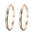 thumbnail image 3 of Boucles d'Oreilles Rondes en Acier Inoxydable pour Femmes Grandes Boucles d'Oreilles Rondes Pendantes Boucles d'Oreilles Clous, 3 of 9