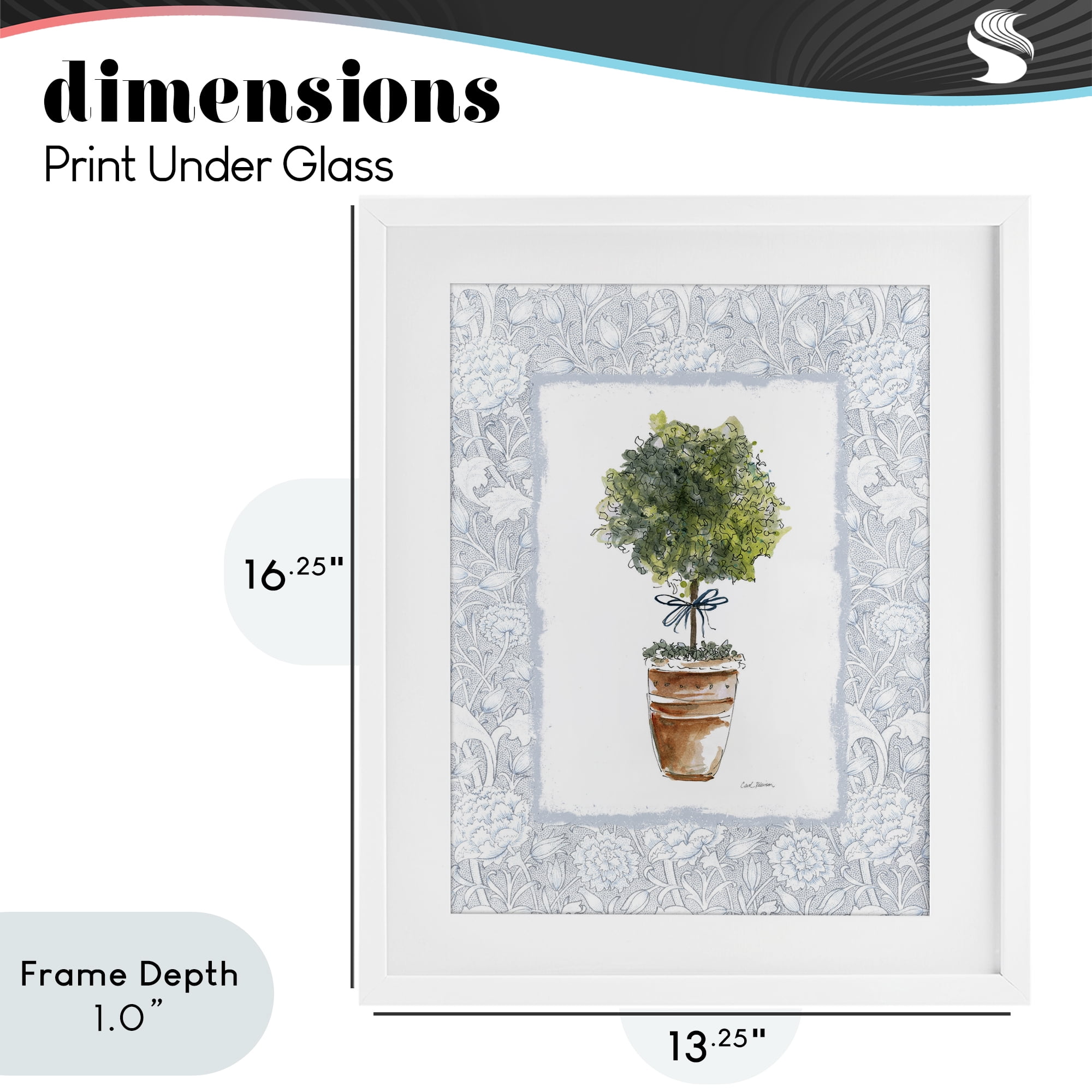 Stupell Industries Potted Topiary in Terracotta White Framed Print Under Glass, design by Carol Robinson