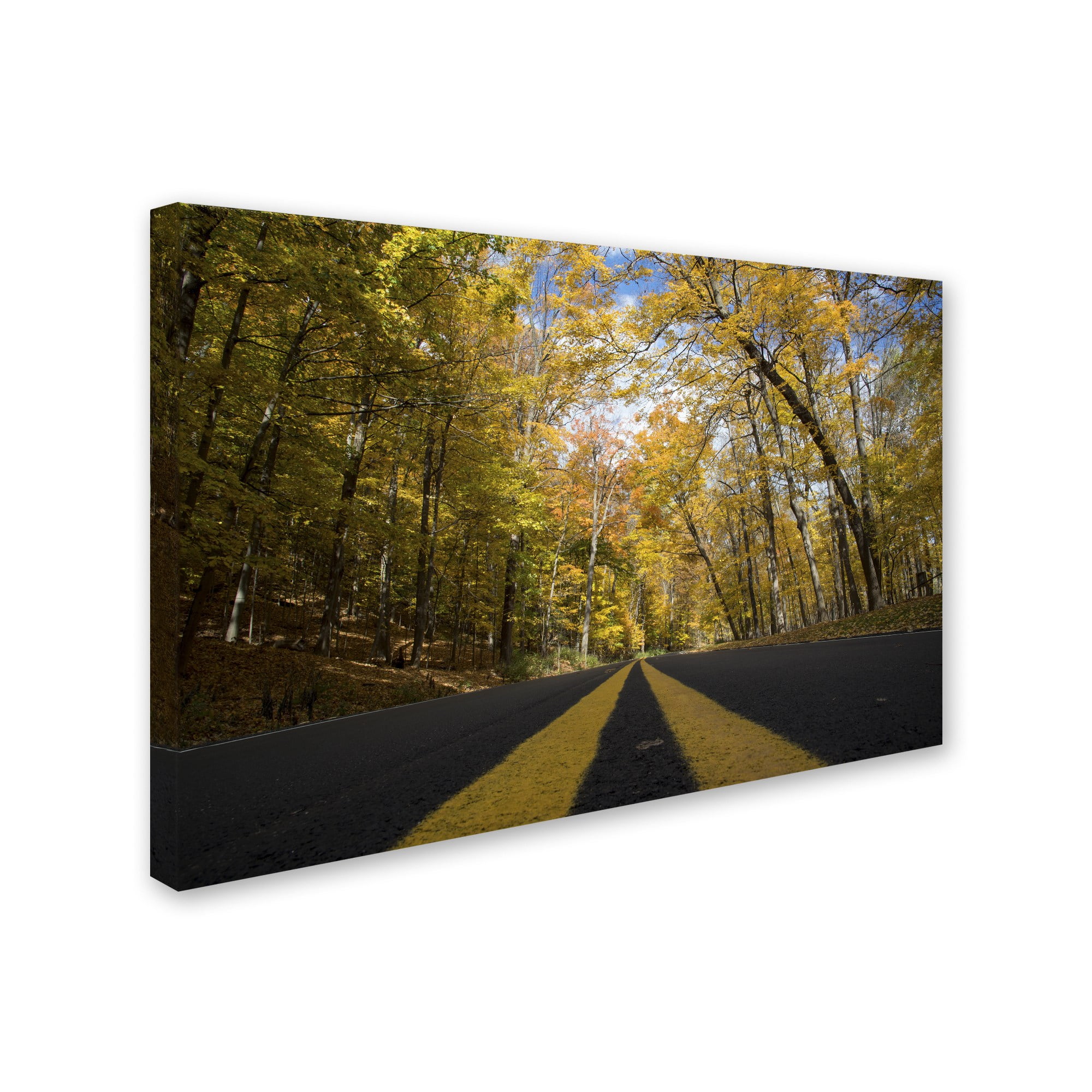 Trademark Fine Art "Autumn Along the Valley Parkway" Canvas Art by Kurt Shaffer