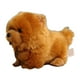 thumbnail image 1 of Muñeco de peluche Chow Chow suave y exquisito perro de peluche divertido de 10 pulgadas para niños para el dormitorio del hogar ANGGREK Otros, 1 of 8