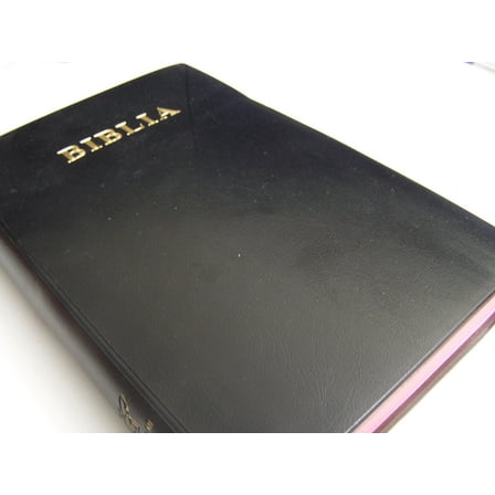 BIBLIA: MAANDIKO MATAKATIFU (Union Edition): Swahili Bible