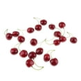 thumbnail image 2 of Abbracc Colorful Simulation Fruit Cherry 20 Capsules Large Double Black Large Double Black, 2 of 9