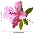 thumbnail image 2 of Wallmonkeys Azalea Backlit Peel and Stick Wall Decals WM215218 (18 in W x 17 in H), 2 of 4