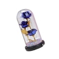 thumbnail image 1 of Enchanted Rose Flower In Glass foil roses Dome LED Light Valentine's Day Decor blue, 1 of 8