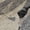 Black, variant on Addison Rugs Chantille Indoor/Outdoor Transitional Coastal Black Machine Washable Rectangle Rug, 10' x 14'