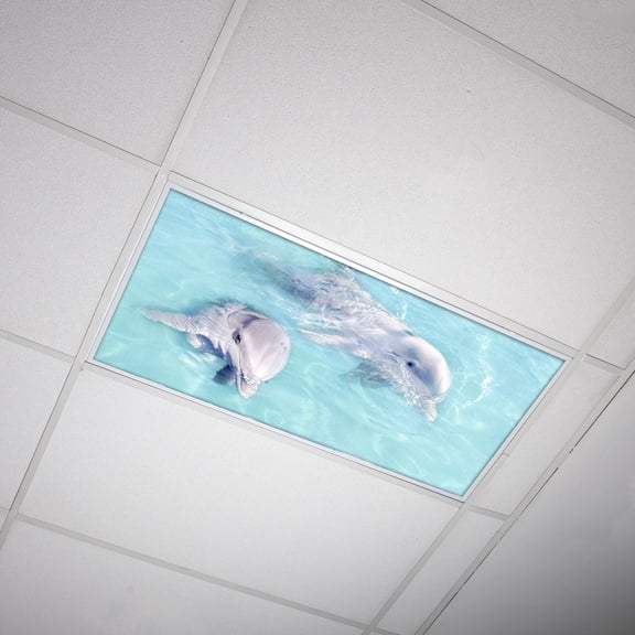 Octo Lights - Fluorescent Light Covers - 2x4 Flexible Ceiling Light Filters - For Classrooms and Offices - Ocean 002