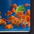 thumbnail image 4 of OUNONA 6Ud Acuario Hoja Artificial Resistente Con Ventosa Para Betta Color Surtido, 4 of 6