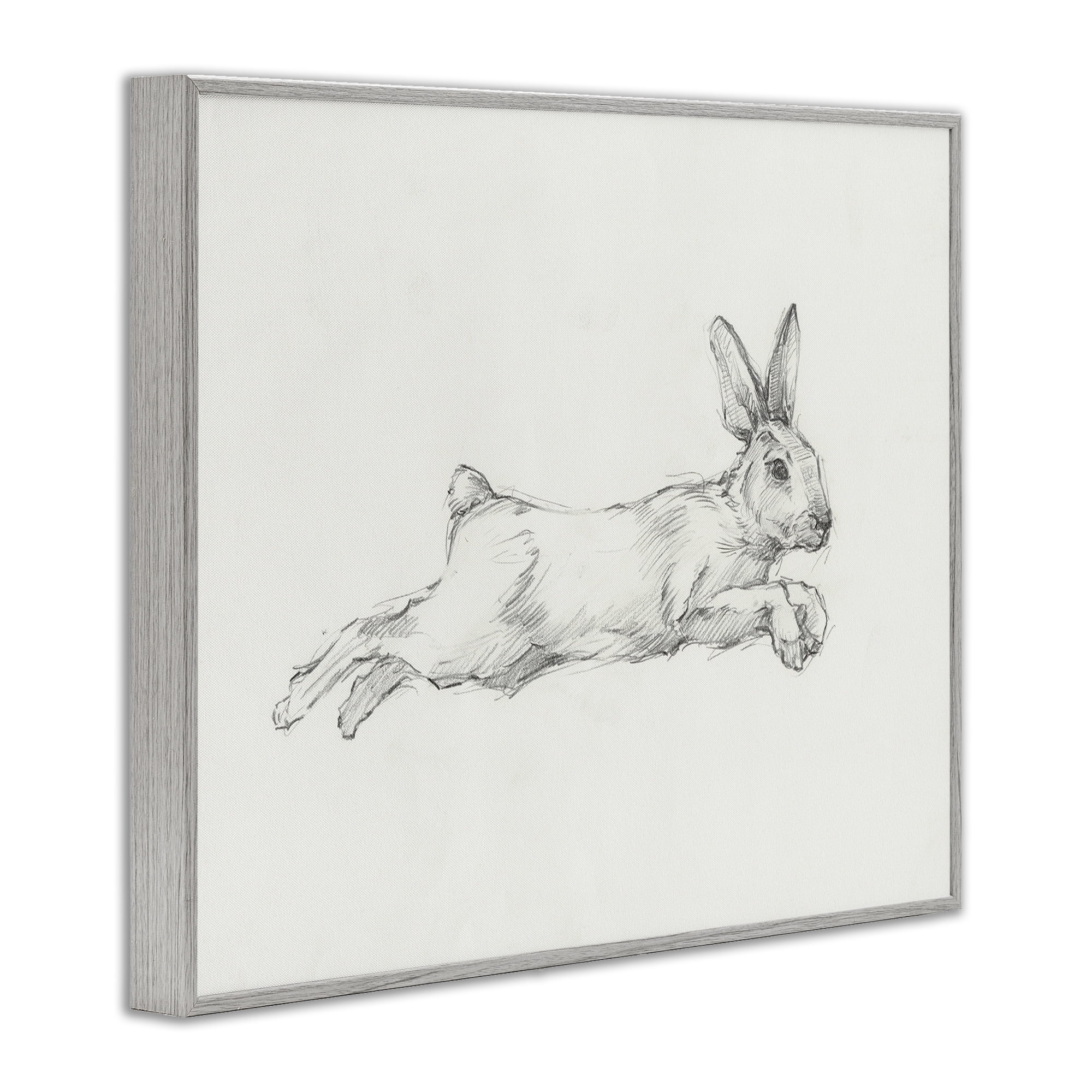 Stupell Industries Jumping Rabbit Sketch Animals & Insects Drawing Gray Framed Art Print Wall Art, 14 x 11