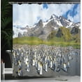 thumbnail image 3 of Ambesonne Penguin Shower Curtain, Arctic Animals at Beach, 69"Wx75"L, Azure Blue Green Brown, 3 of 4