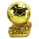 thumbnail image 5 of Trofeo Balón de Oro Copa del Mundo Suministros para fanáticos Regalo de cumpleaños grabado Suvenir para construir grupos, 5 of 5