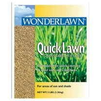 Barenbrug USA 70210 Quick Lawn Grass Seed