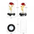 thumbnail image 3 of 24K Gold Plating Rose Flower In A Glass Dome With LED Light String Gift Women Girls On Birthday Valentine's Day Mother's Day Christmas Holiday Powered By 3 X AAA Batteries (Not Included), 3 of 5