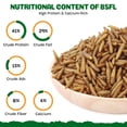 thumbnail image 2 of Larvas secas de mosca soldado negra BENEYUMI 4.54 kg, alto contenido de proteína, 2 of 7