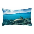 thumbnail image 1 of YUSDECOR Sea Turtle Loggerhead Floating Over Corals Tropical Paradise Bed Decor Pillow Cases Zippered Cushion Cover Size 20x30 Inches, 1 of 1