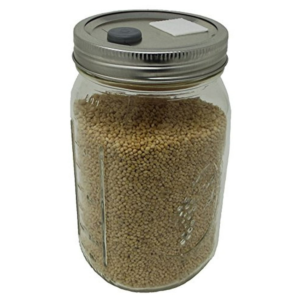Sterilized White Millet Mushroom Substrate in Injectable Quart Jar