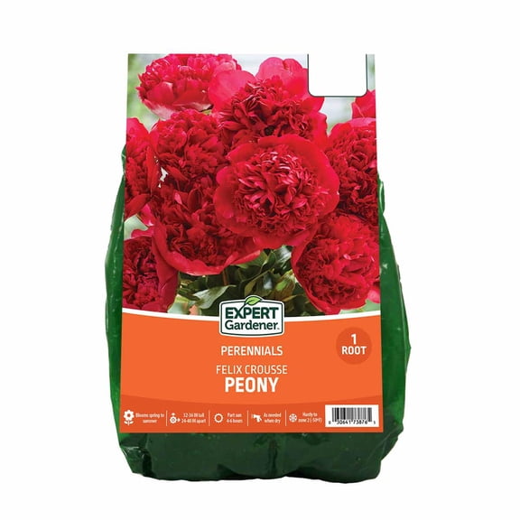 Expert Gardener Peony Felix Crousse Dormant Bare Root, Partial Sun, Red Perennial