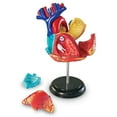 thumbnail image 3 of Learning Resources Heart Anatomy Model, Anatomy for Kids Ages 8 and Up, 3 of 7