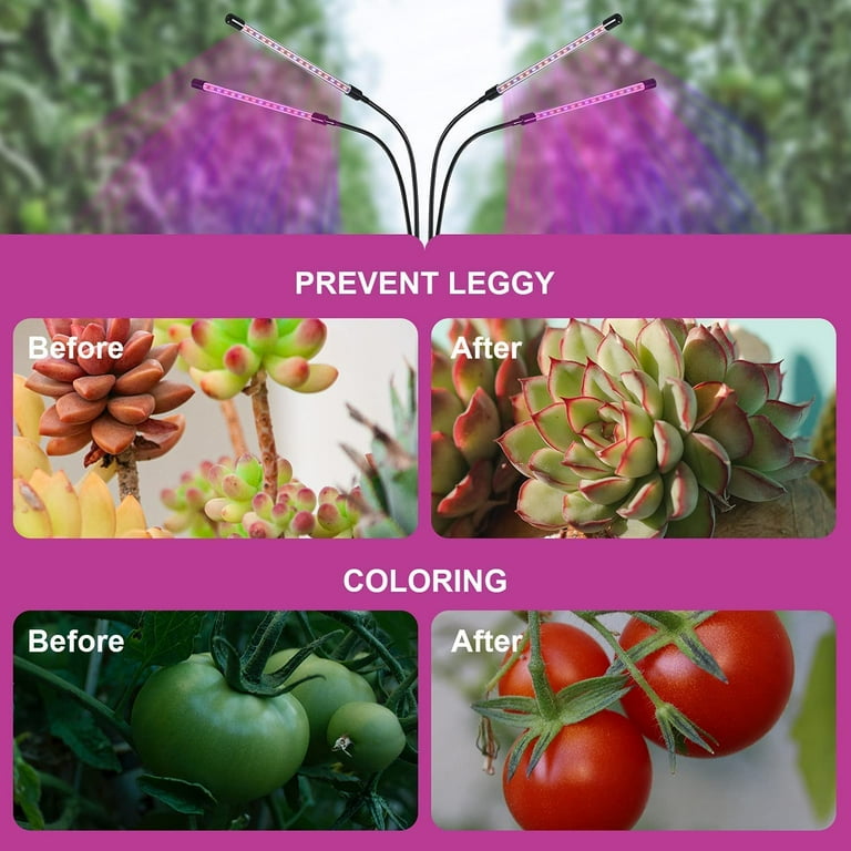 Heat lamp for plants walmart outlet