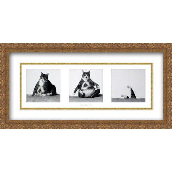Fat Cat Capsizing 2x Matted 29x15 Large Gold Ornate Framed Art Print by Richard Watherwax