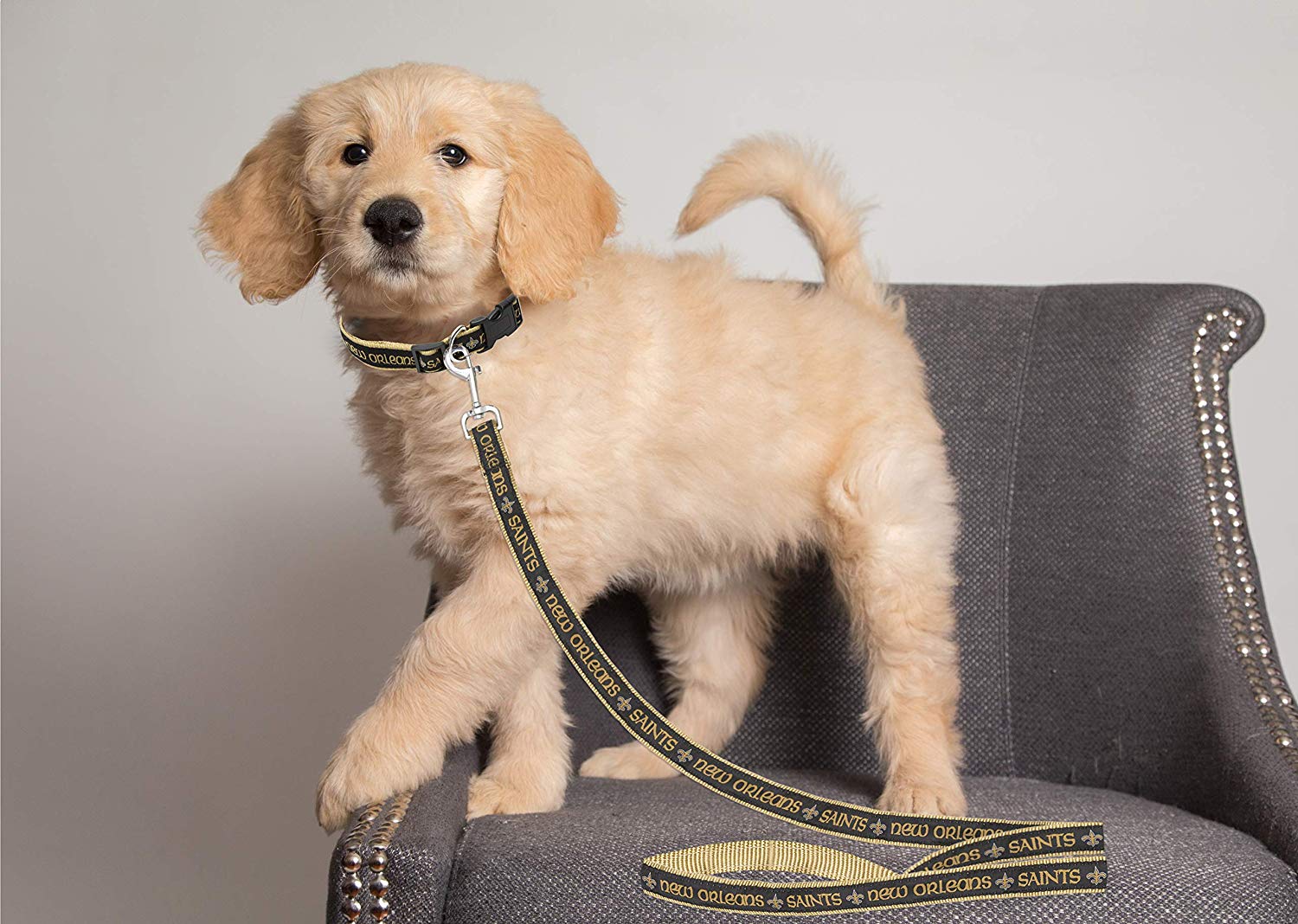Pets First NFL New Orleans Saints Heavy Duty and Durable Dogs and Cats Sports Leash - Large