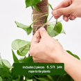 thumbnail image 3 of 6 piezas de musgo para plantas Monstera, hacia arriba, con lazos giratorios y cuerda de yute Afortunado Sencillez, 3 of 5