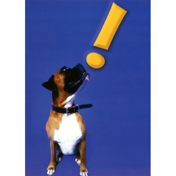 Designer Greetings Dog and Large Yellow Exclamation Point Funny : Humorous Friendship Card