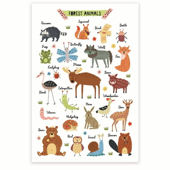 Bliss Monkey Co. Forest Animals Poster - Early Learning 1st Grade 2nd Grade - 12 x 18 Inch Poster - Unframed - Premium 100lb Gloss - Made In USA - BMCP021