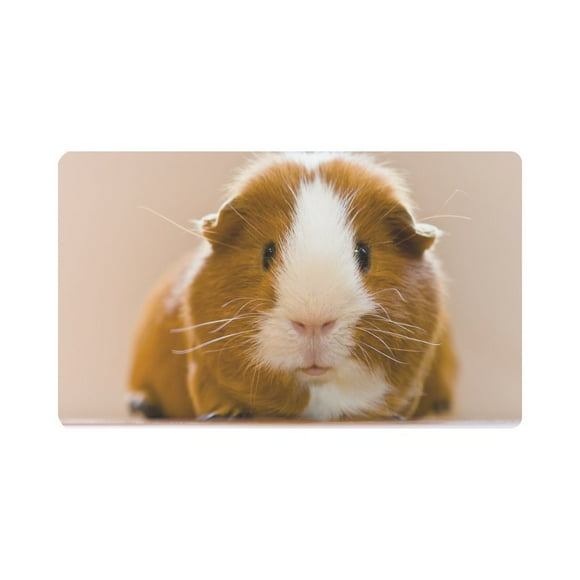 YUSDECOR Guinea Pig Dutch Rats Cute Animal Doormat Rug Home Decor Floor Mat Bath Mat 30x18 inch