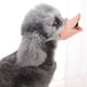 thumbnail image 2 of Bozal Para Perros Suministros De Entrenamiento Para Perros Cubierta De Boca De Perro De Silicona A Prueba De Mordidas Bozal De Perro Con Forma De Boca De Pato Cómodo Para ANGGREK Rosa M, 2 of 2