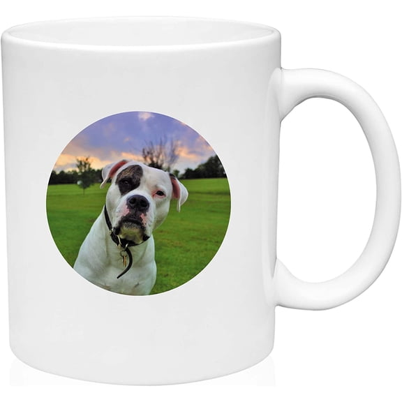 Coffee Mug Lovable Pitbull Dog Dog White Coffee Mug Funny Gifts Cup