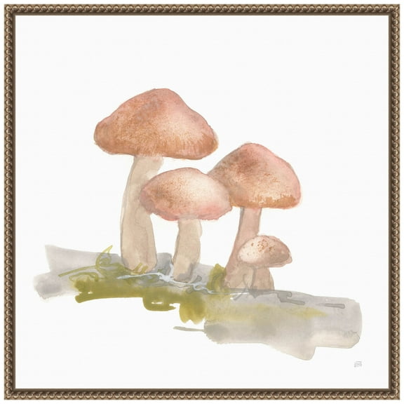 Amanti Art Mellow Mushrooms II Framed Canvas Wall Art Print