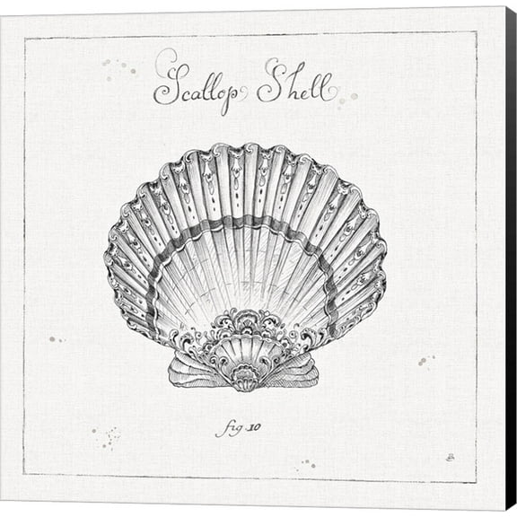 Underwater Life VII by Daphne Brissonnet, Canvas Wall Art