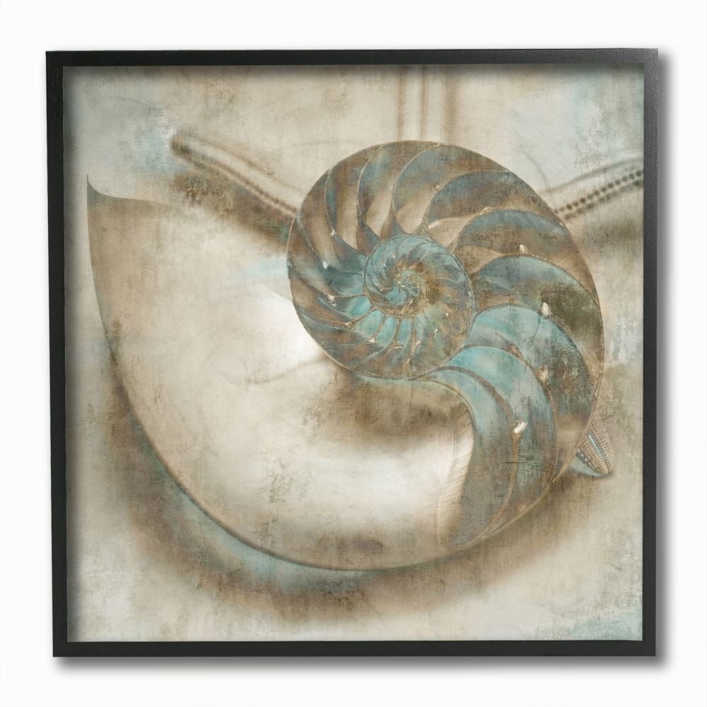 Stupell Industries Sharkeye Seashell Distressed Texture Blue Tan Design Framed Wall Art by Ziwei Li