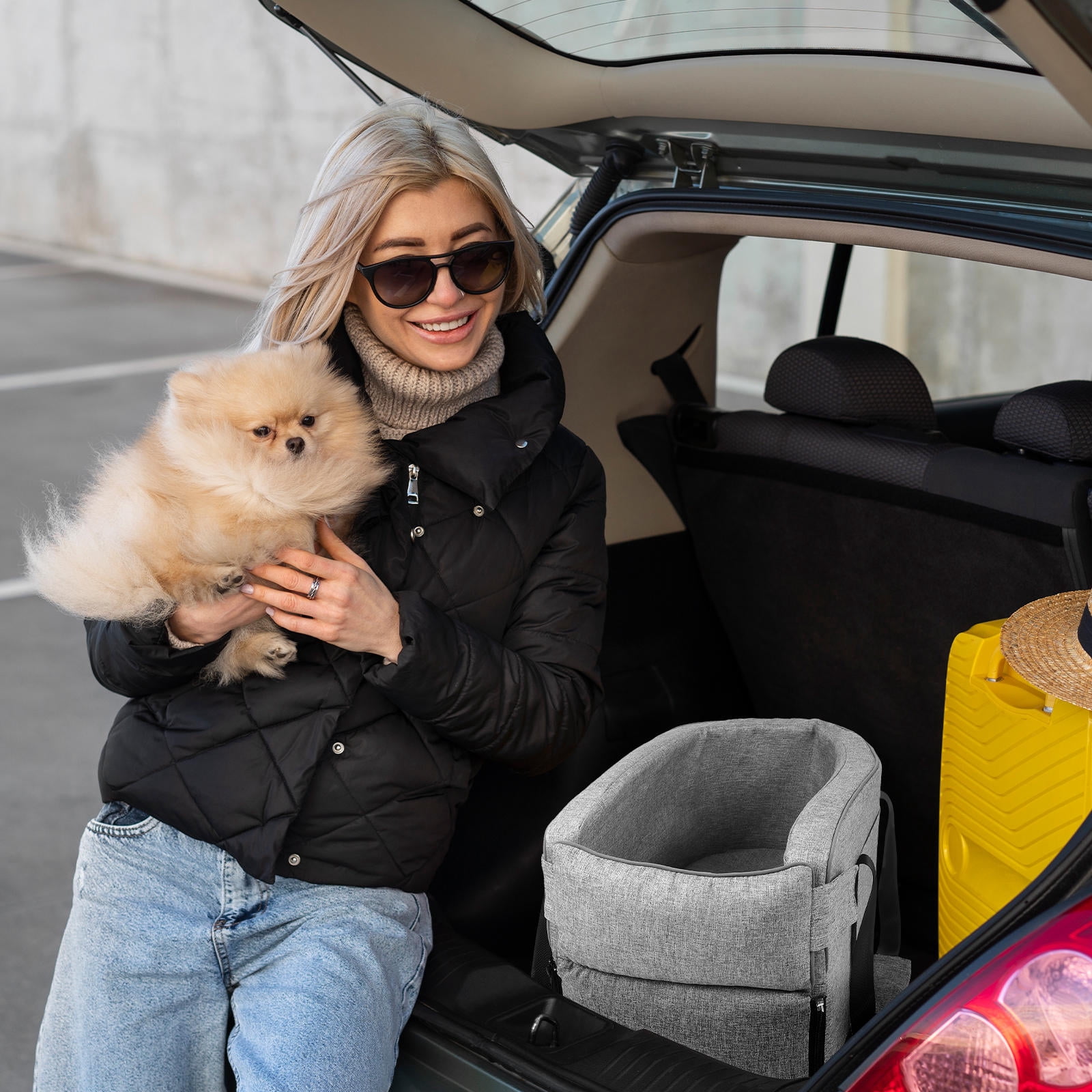 NUOLUX Pet Seat for Car Rectangular 1Set 18.9X10.2X9.4in