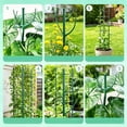 thumbnail image 5 of Plant Stakes Set, Stackable Plant Support, Garden Plant Support Stakes for Indoor Outdoor Plants, Climbing Structures Holder Stick Moss Pole for Support Tall Potted Plants (6PCS), 5 of 8