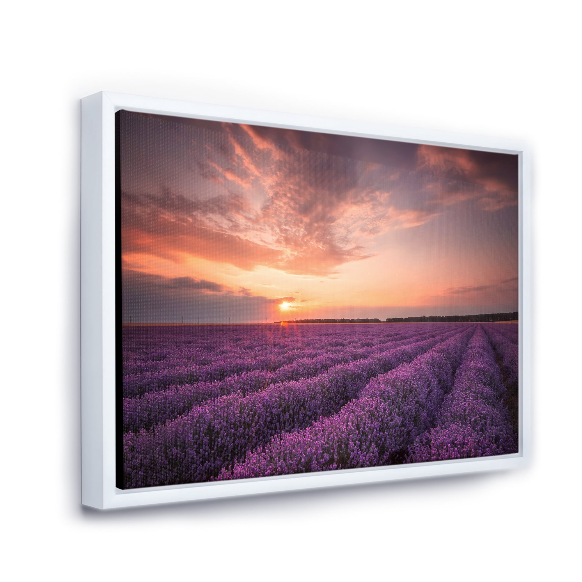 Designart 'Dramatic Clouds and Sunrise Over Lavender Field XII' Farmhouse Framed Canvas Wall Art Print