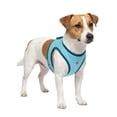 thumbnail image 1 of One Paw, Cooling Dog Vest, Lightweight, Refreshing, Blue, Perfect for Summer, for Dogs, 1 of 9