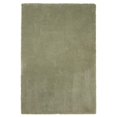 thumbnail image 1 of HomeRoots 353426 Tapis en Polyester Sauge 27 x 45 Po, 1 of 7