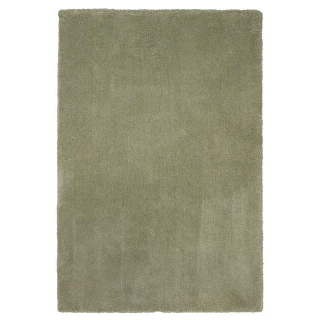 HomeRoots 353426 27 x 45 in. Polyester Sage Area Rug