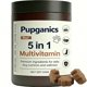 thumbnail image 1 of Multivitamínico para perros EYUTRD Pupganics 5 en 1 sabor res 60 masticables, 1 of 9