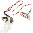 thumbnail image 1 of Juego de Arnés y Correa para Gatos a Prueba de Escape para Gatos y Perros Pequeños Cómodo y Ligero con Correa de Nailon Perfecto para Caminar Viajar con Tu Adorable mascota ANGGREK Otros, 1 of 8