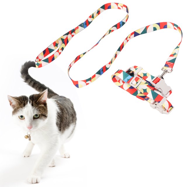 Juego de Arnés y Correa para Gatos a Prueba de Escape para Gatos y Perros Pequeños Cómodo y Ligero con Correa de Nailon Perfecto para Caminar Viajar con Tu Adorable mascota ANGGREK Otros