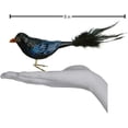 thumbnail image 3 of Old World Christmas Raven Glass Blown Ornament for Christmas Tree, 3 of 3