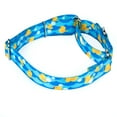 thumbnail image 3 of Country Brook Petz® Just Ducky Martingale Dog Collar, Medium, 3 of 5