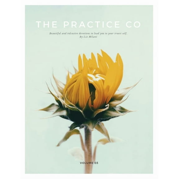 The Practice Co - Volume Three, (Paperback)