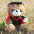 thumbnail image 3 of Juguete de oso de peluche | Tema de Graduación | Material suave y tierno | Detalles hechos a mano | Regalo para celebraciones | Compra al por mayor a granel | Oso coleccionable único | Tamaño de 10, 3 of 6