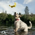 thumbnail image 3 of Hound2O Dog Toys | Floating Tug of War Tug Stick, Yellow | Durable Outdoor Toy for Dogs, 3 of 6