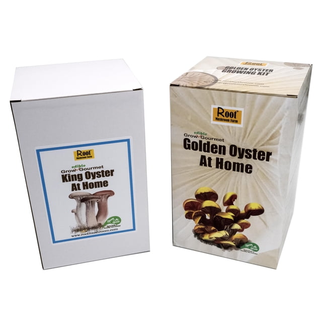 Kit de cultivo de hongos Root Mushroom Farm 3 lb King y Golden