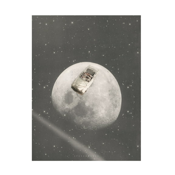 Trademark Fine Art spacerocket art 325 Canvas Wall Art